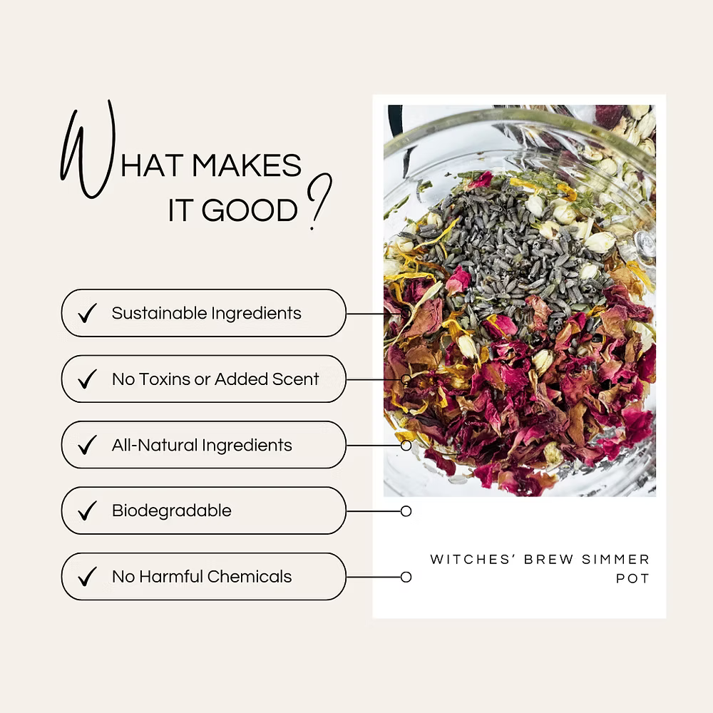 Glass pot with dried herbs and flowers labeled 'Witches' Brew Simmer Pot' on a beige background.